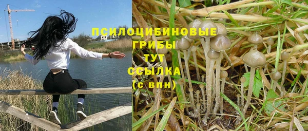 гашик Михайловск