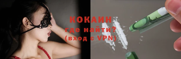 гашик Михайловск