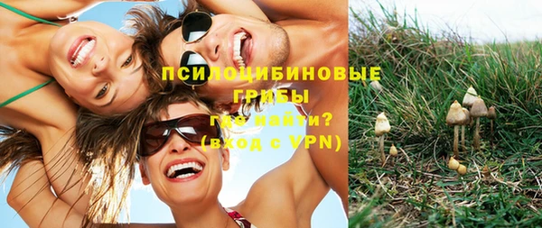крисы Михайловка