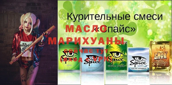 гашик Михайловск