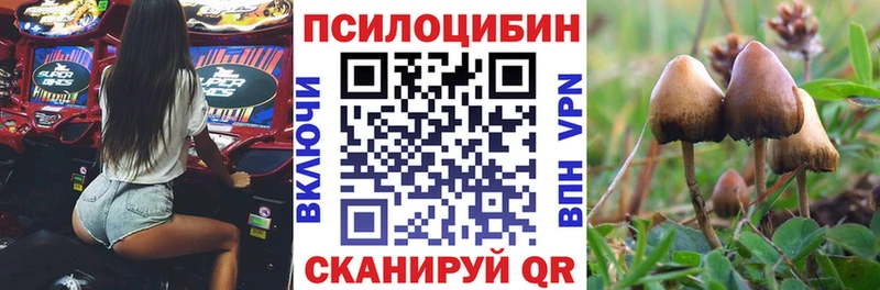 Галлюциногенные грибы MAGIC MUSHROOMS  Трубчевск 